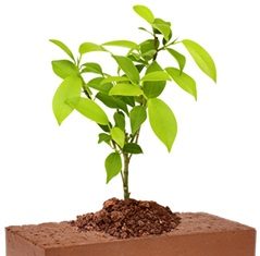 Gestão de Resíduos da Construção Civil