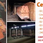 banner-anfamec-site-anicer-1000×300-1000×300