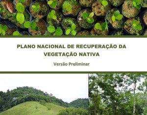 Brasil terá plano de recuperação de vegetação