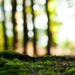 csv1215_blog_e97