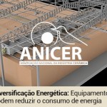 biomassa0216