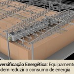 biomassa0216