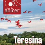 capa_revista_106