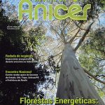 capa_revista_82