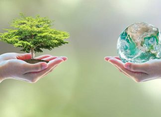 Setor produtivo e órgãos ambientais debatem licenciamento ambiental