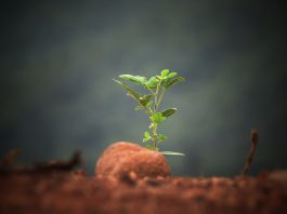 Sindicer/RN assina acordo de cooperação para desenvolvimento de programa sustentável