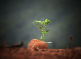 Sindicer/RN assina acordo de cooperação para desenvolvimento de programa sustentável