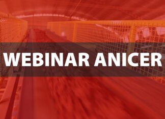 Anicer realiza webinar sobre Liberdade Econômica
