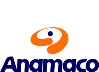 Anamaco promove live sobre e-commerce e segmento fatura R$ 53 bilhões no primeiro semestre de 2021