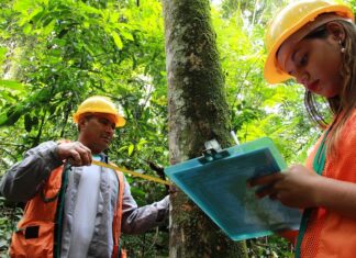Inscrições no Prêmio Firjan de Sustentabilidade vão até 31 de agosto