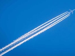 Firjan lança Programa de Caravanas Empresariais 2024 para incentivar novos negócios