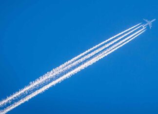 Firjan lança Programa de Caravanas Empresariais 2024 para incentivar novos negócios