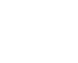 ANICER