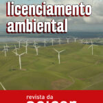 18009466169596463_anicerbr