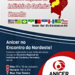 18341659588204321_anicerbr
