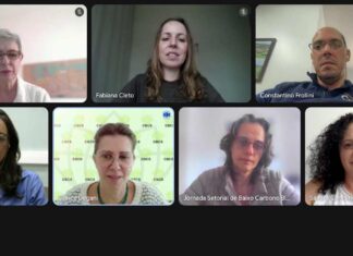 Reunião Anicer e CBCS: indústria da cerâmica vermelha rumo à jornada de baixo carbono