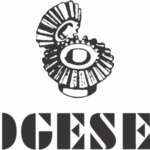 e52_neg_rogesesi