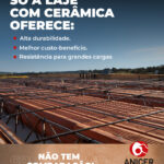 18097357699879045_anicerbr