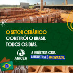 17988779774954381_anicerbr