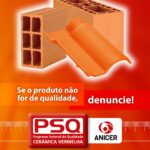 18395354065194372_anicerbr
