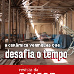 18572908294043858_anicerbr