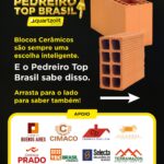 18134169526625777_anicerbr
