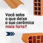 17906293506482937_anicerbr