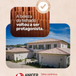18464789605139362_anicerbr